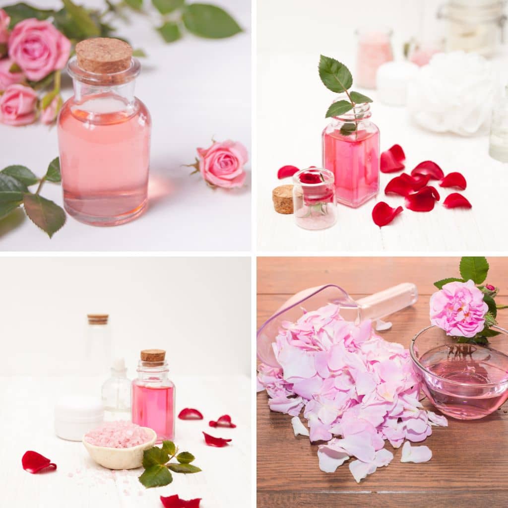 Craft Your Own Rose Hydrosol: A Step-by-Step Tutorial - The Outdoor ...