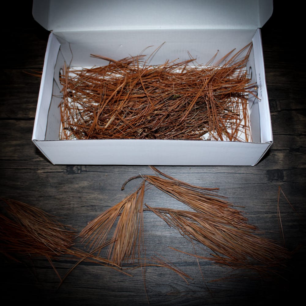 How to Select and Prepare Pine Needles for Basket Making - FeltMagnet