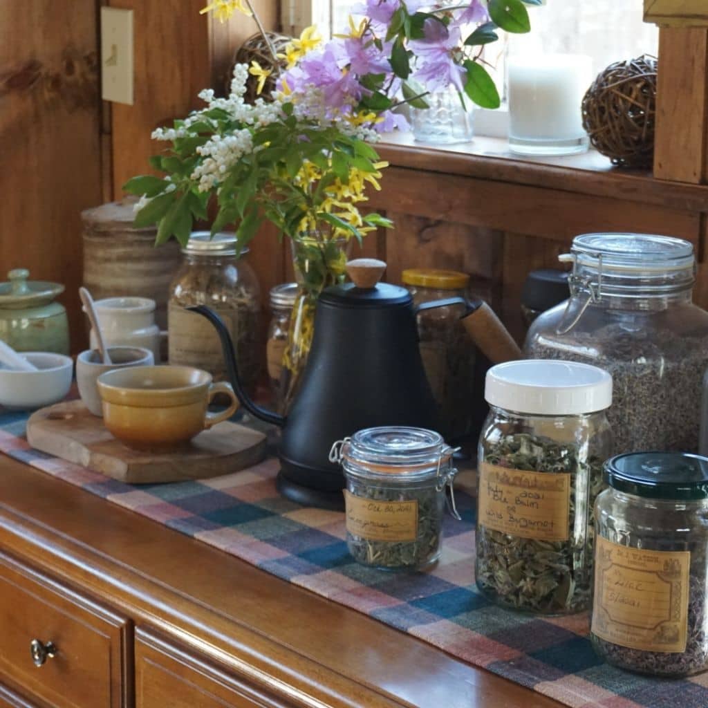 herbalism - herbs in glass jars on a table