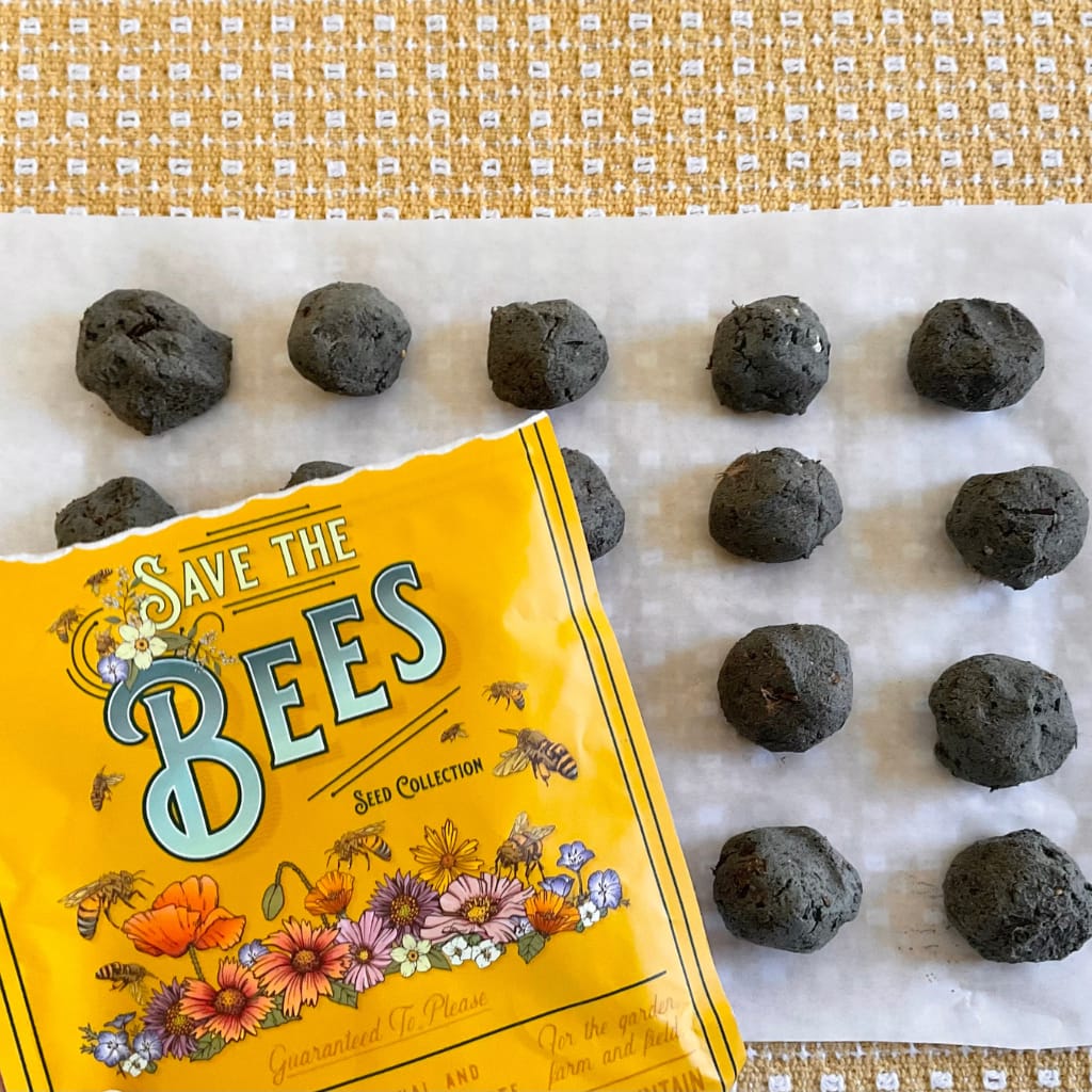 Easy Diy Seed Bombs Recipe And Tutorial The Outdoor Apothecary 5390