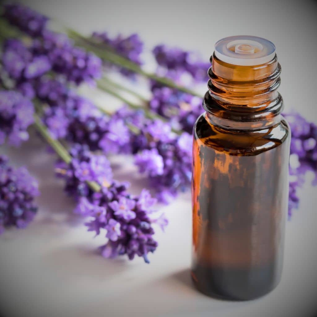 Make Your Own Lavender Linen Spray (With Free Labels) - The Outdoor ...