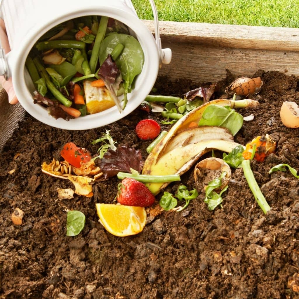 composting how to