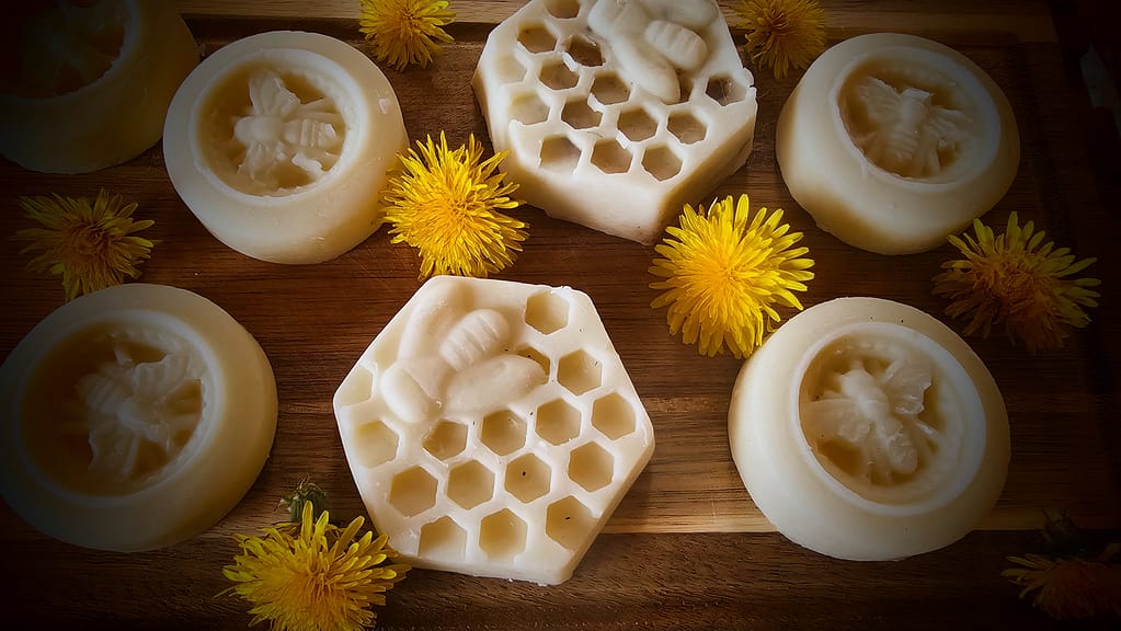 ways to use dandelion - Dandelion lotion bar