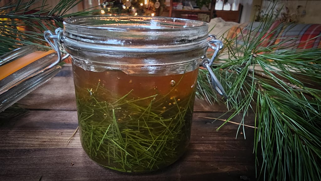 pine infused honey