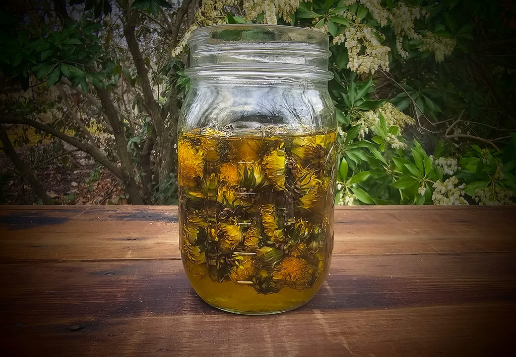 dandelion oil