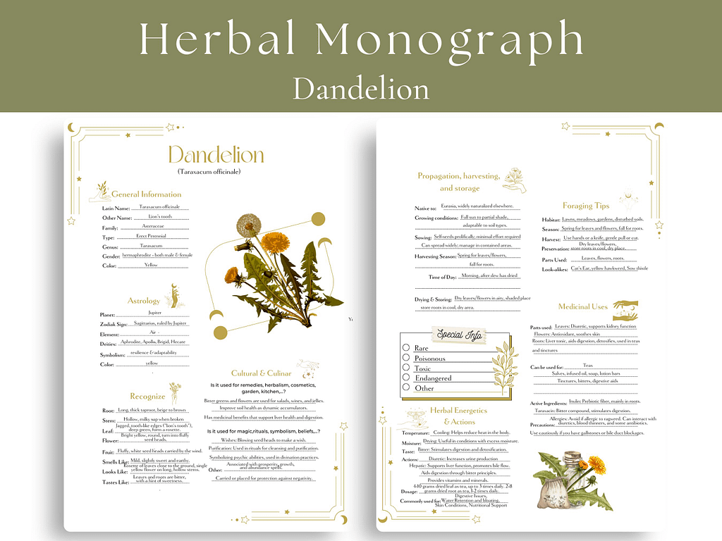 dandelion plant monograph