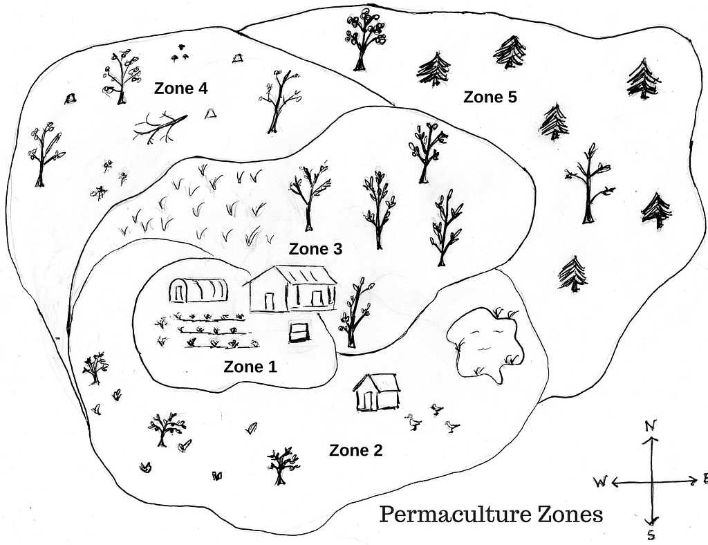 basics of permaculture