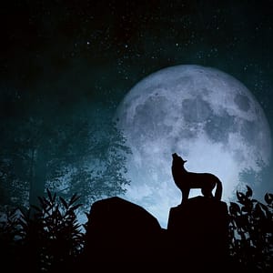 the full wolf moon