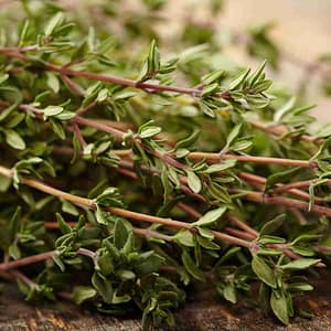 thyme is good for