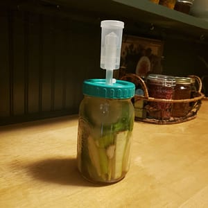 fermented zucchini