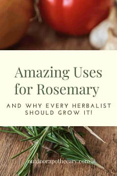 Amazing Uses For Rosemary Herb And Why You Should Grow It The