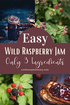 Raspberry jam recipe - no cook raspberry jam with only 3 ingredients