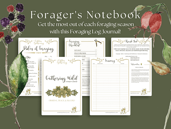 forager's journal