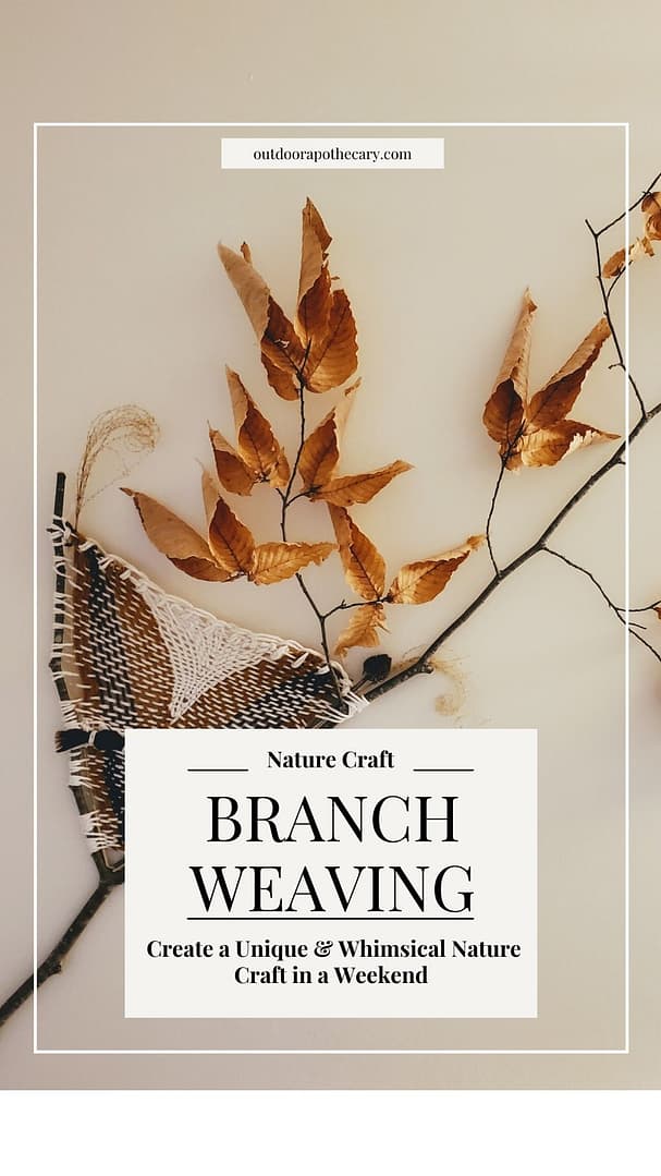 branch weaving