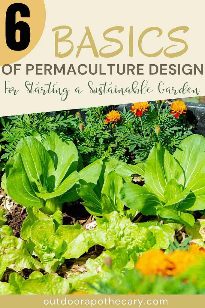 The 6 Basics Of Permaculture Design: Sustainable Gardening - The ...