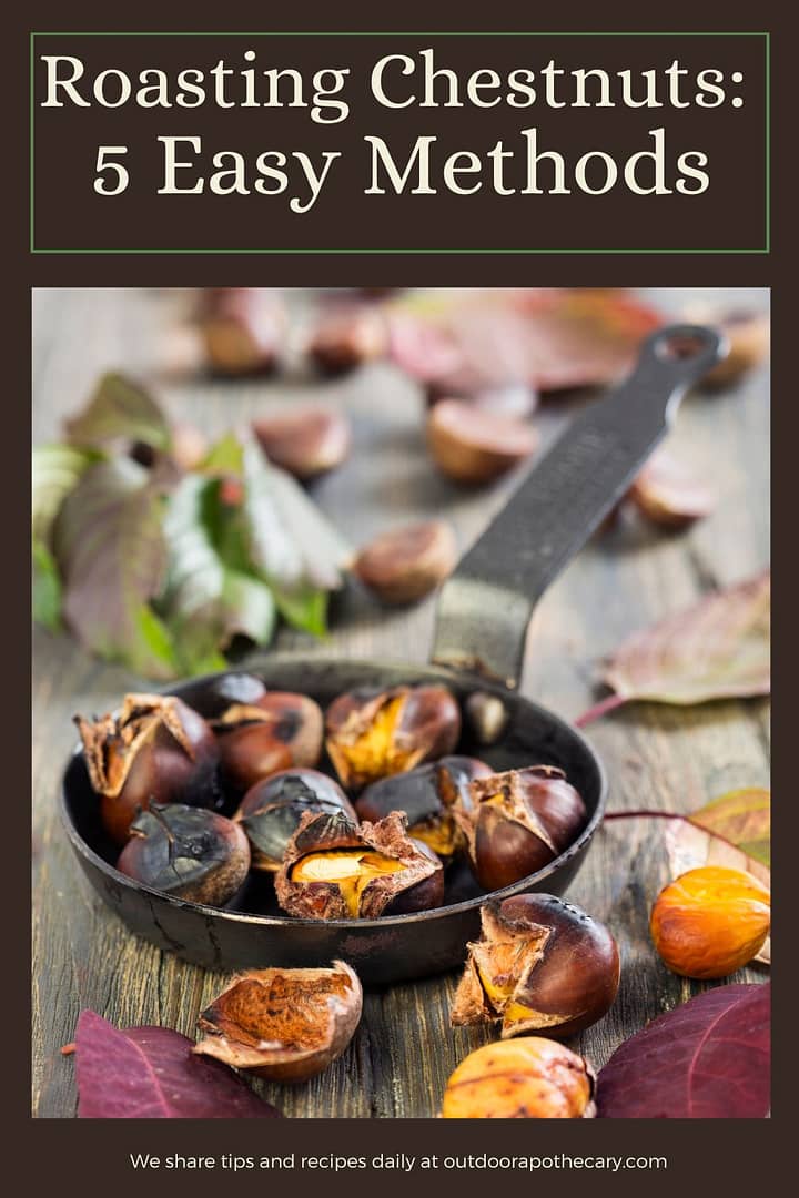 How To Roast Chestnuts: 5 Easy Methods - The Outdoor Apothecary