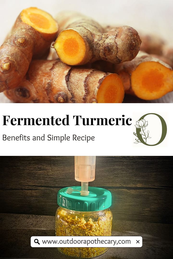 fermented turmeric