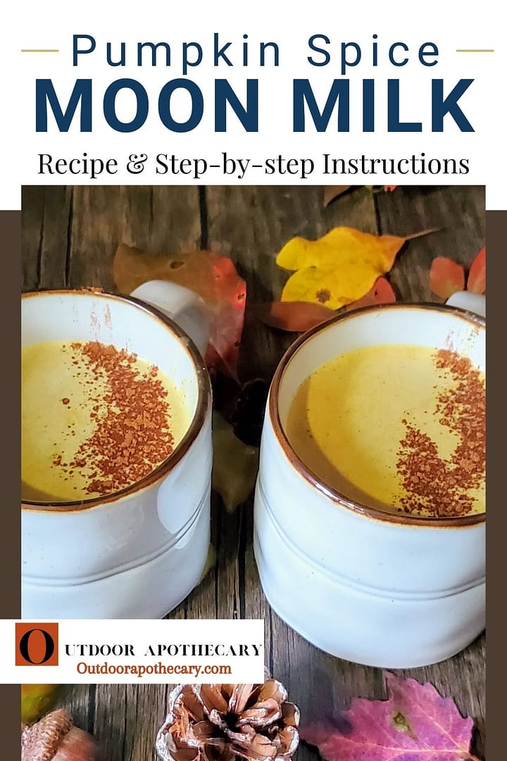 Coconut Milk Pumpkin Recipe: Step by Step Guide  