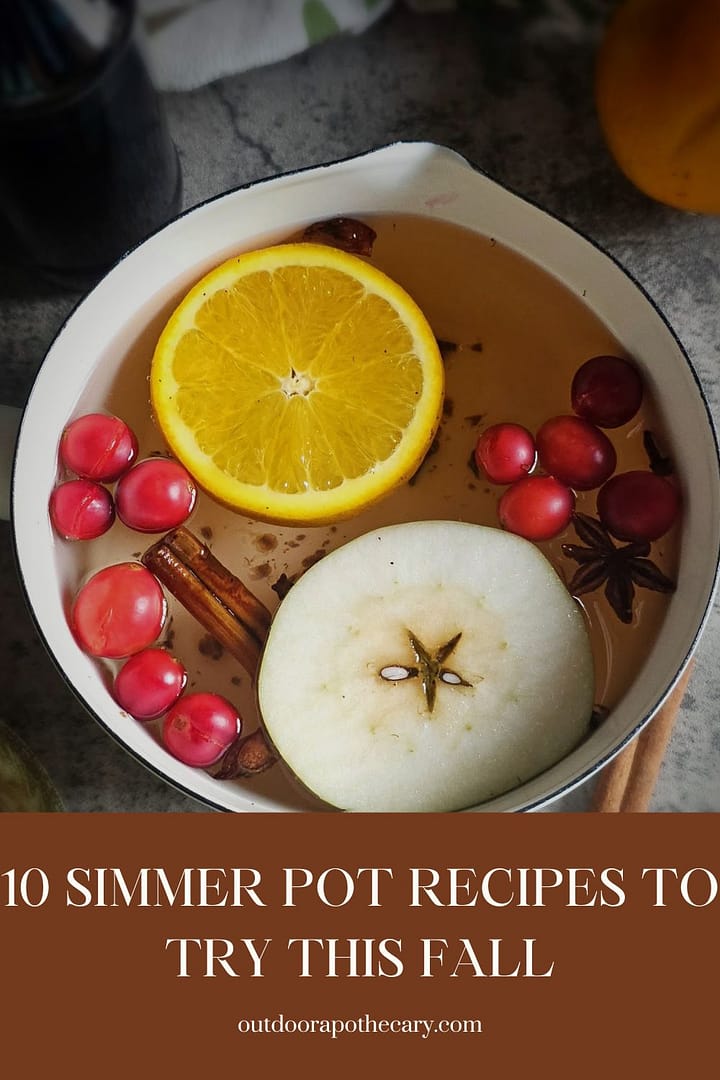 11 Easy Simmer Pots For Fall The Outdoor Apothecary