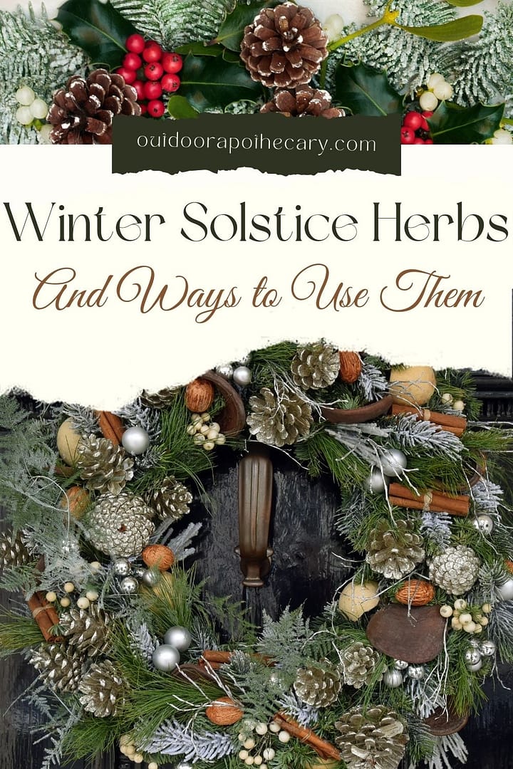Winter Solstice Herbs and Easy Ways to Use Them