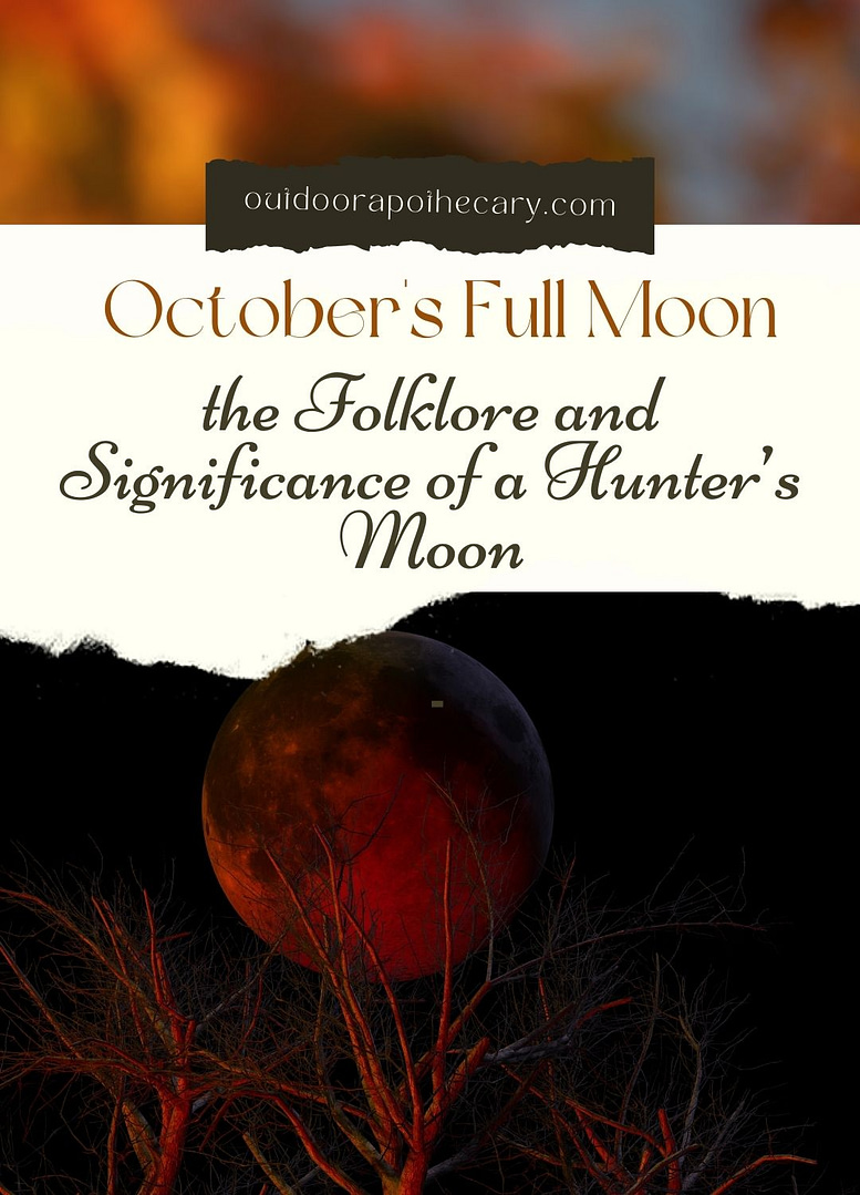 October's Full Moon: Delving Into The Traditions And Magic Of The