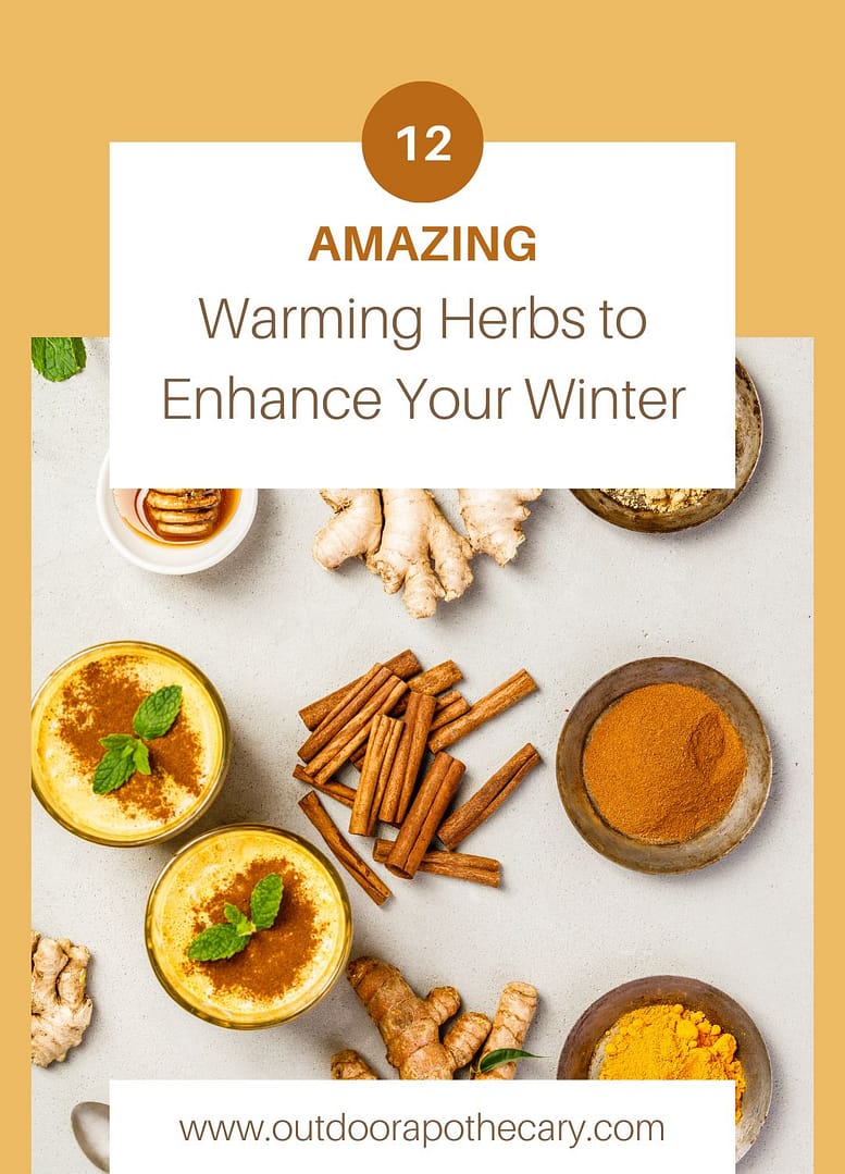 warming herbs for winter