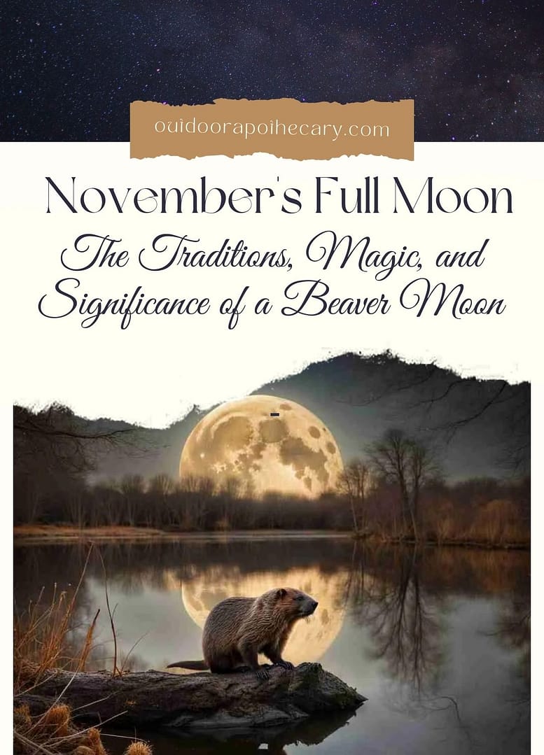 November's Full Moon The Traditions, Magic, And Significance Of A