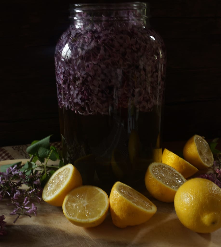 edible lilacs - lilac wine in a large glass jug with lemons and lilac flowers on the countertop.